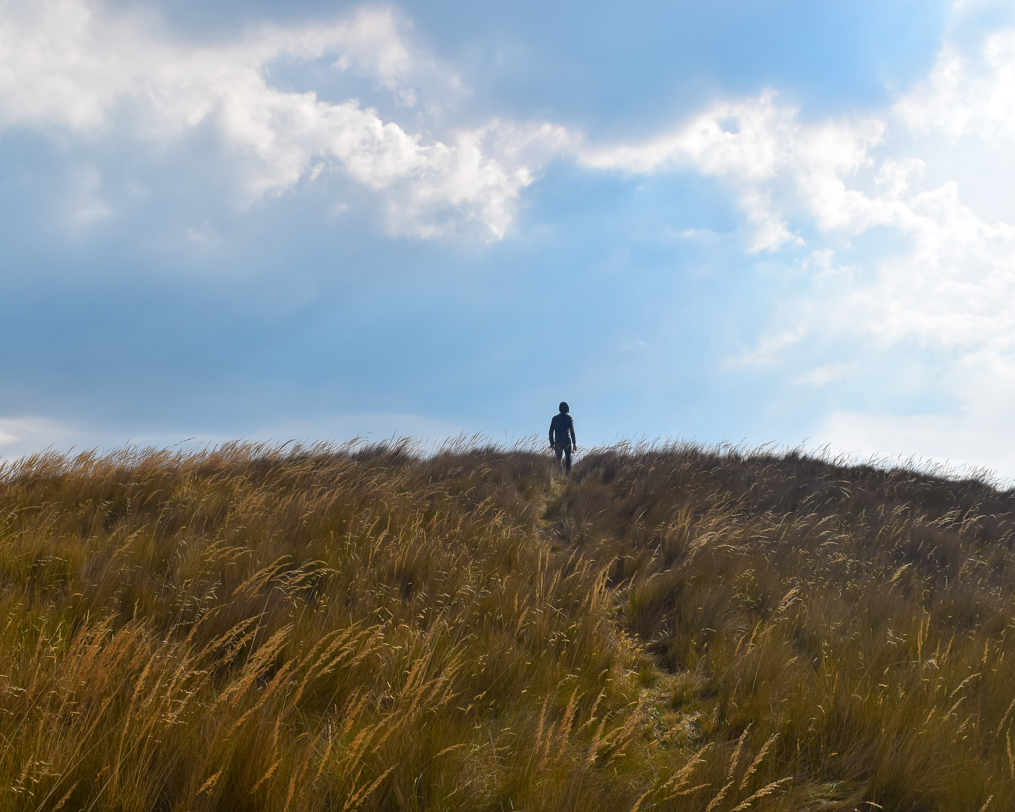 Wide layered landscape on the páramo above Quito — woman in profile, the whole city visible in the valley far below, big clouds