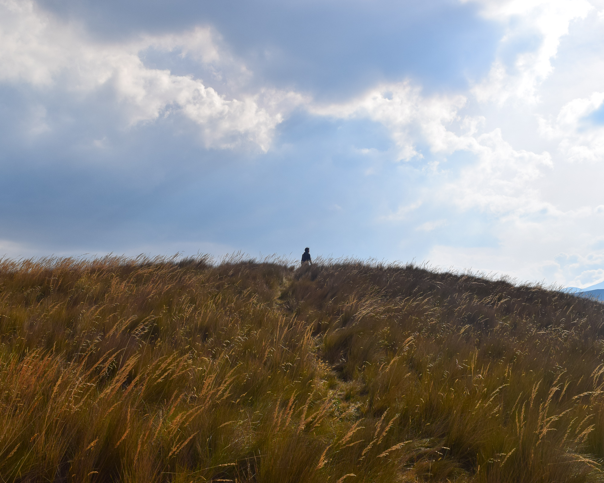 A silhouette of a figure at the top of the grassy páramo ridge — golden grass foreground, half the frame is sky