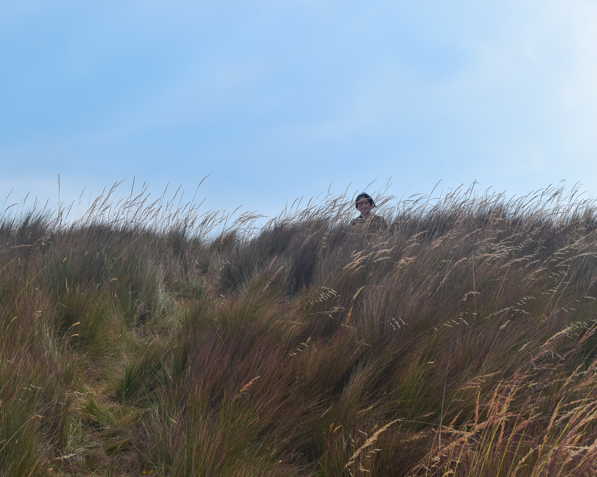 Same páramo location, slightly different light — silhouette on ridge under diffused overcast sky