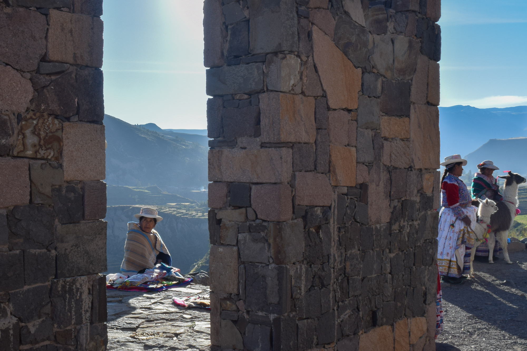 A condor against the vast sky above Colca Canyon, Arequipa — solitary, monumental