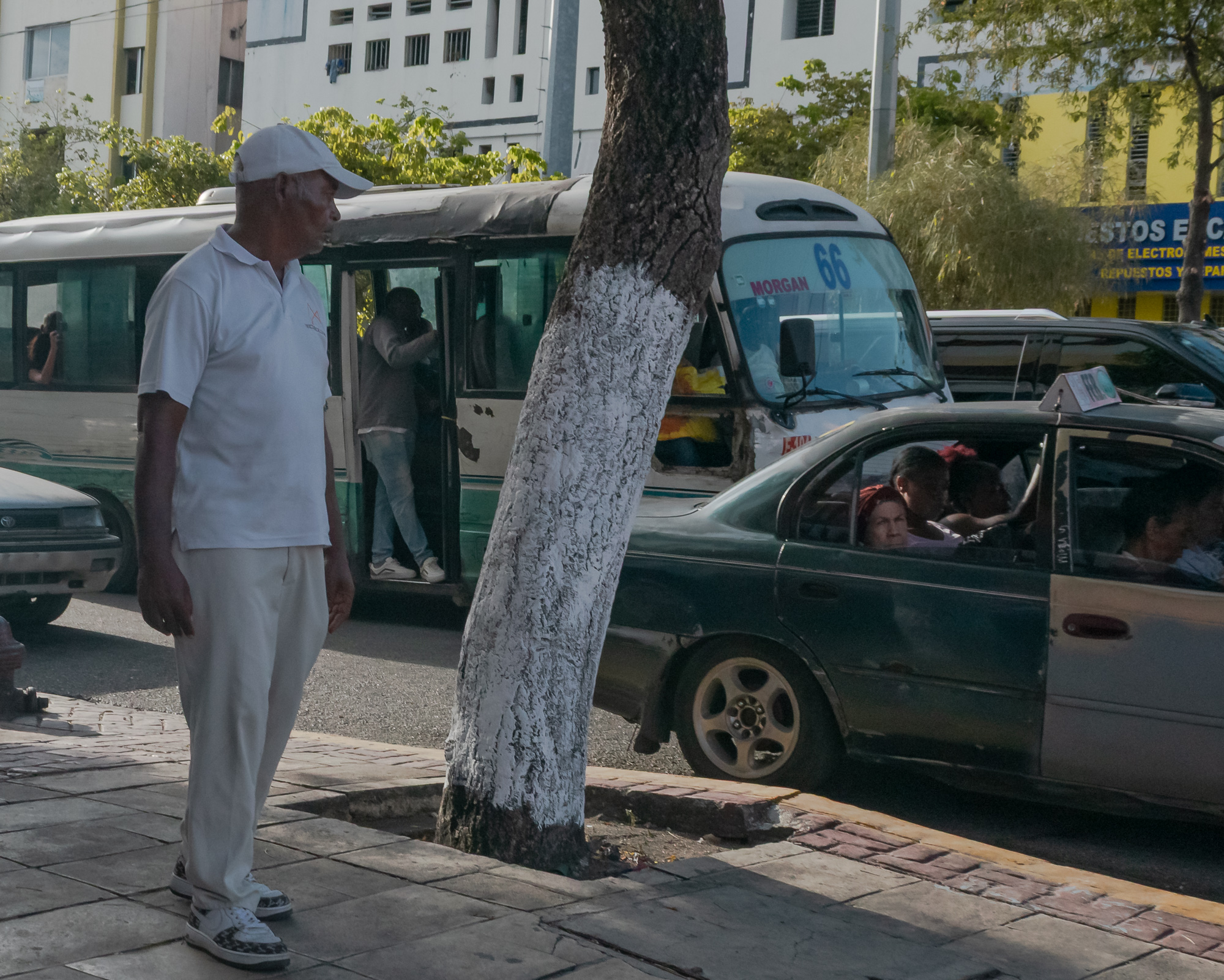 A man in a white cap, polo, and trousers stands on a brick sidewalk beside a tree trunk painted white at its base, while behind him a green minibus marked Morgan 66 takes on passengers and a crowded sedan idles in traffic.