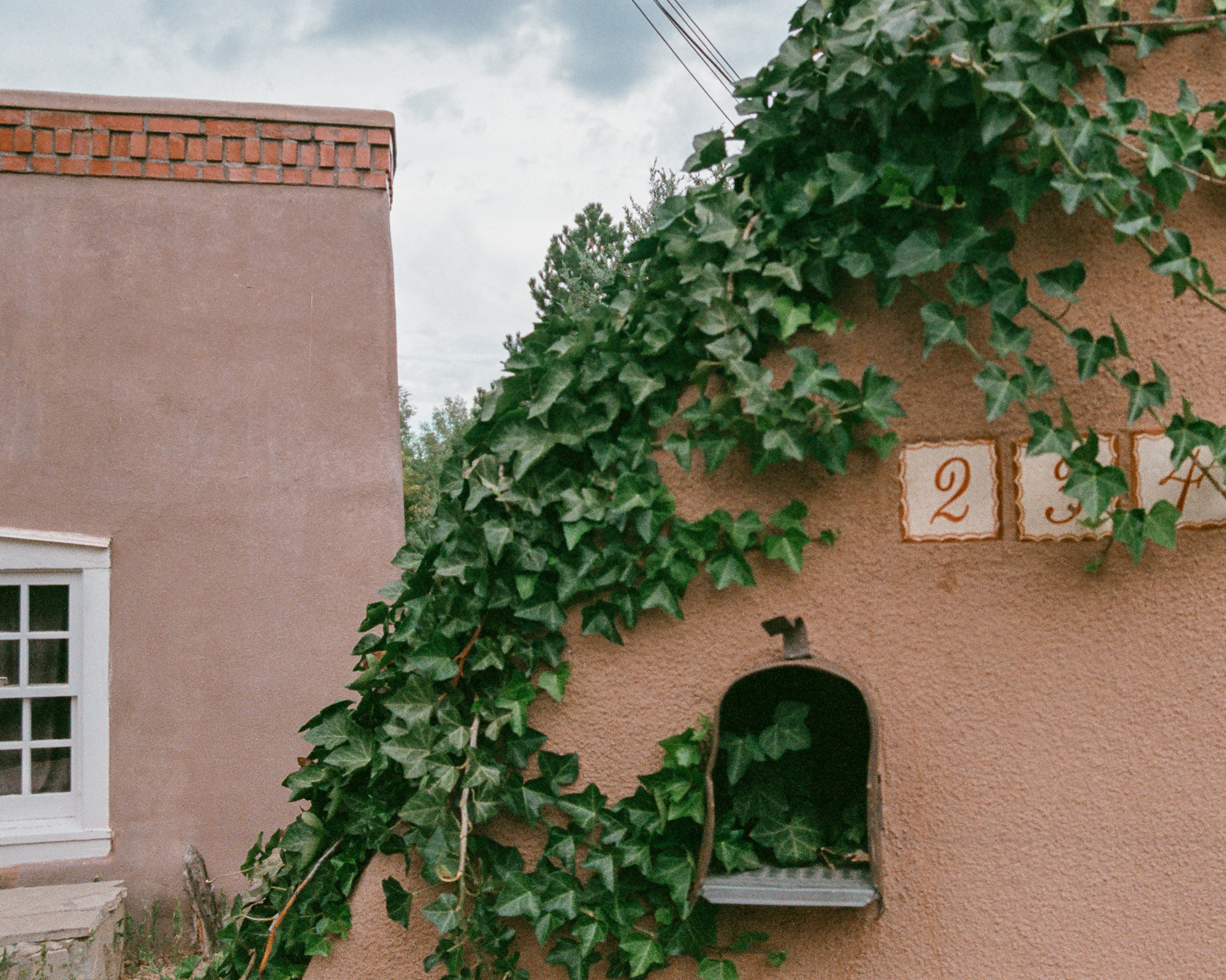 Looking down at sunlit plants and ivy from above in Santa Fe, warm color and strong perspective — color 35mm film