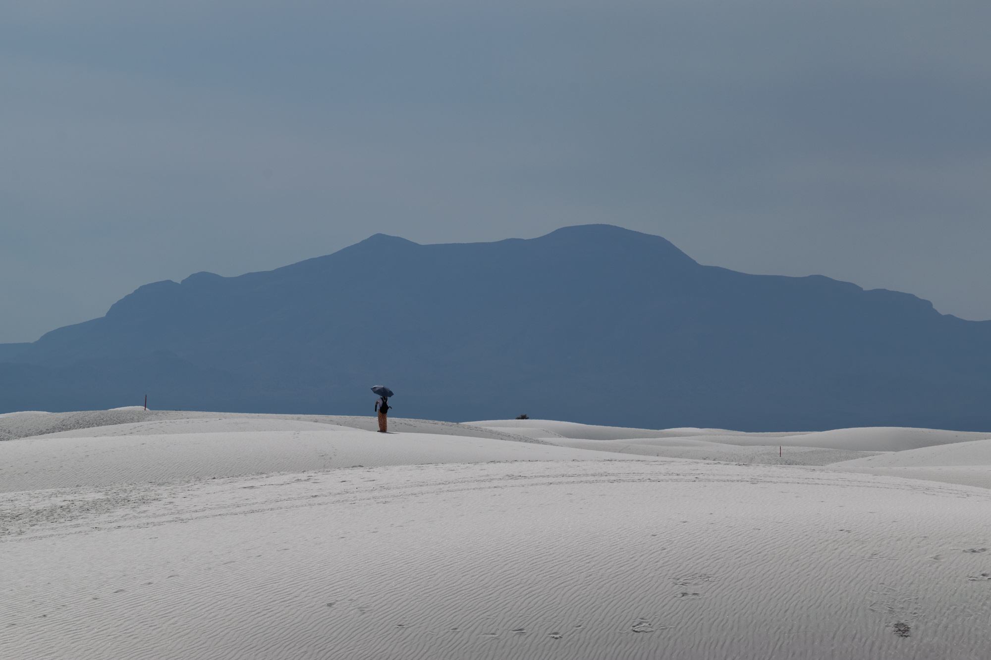 Lone figure with umbrella on White Sands dunes