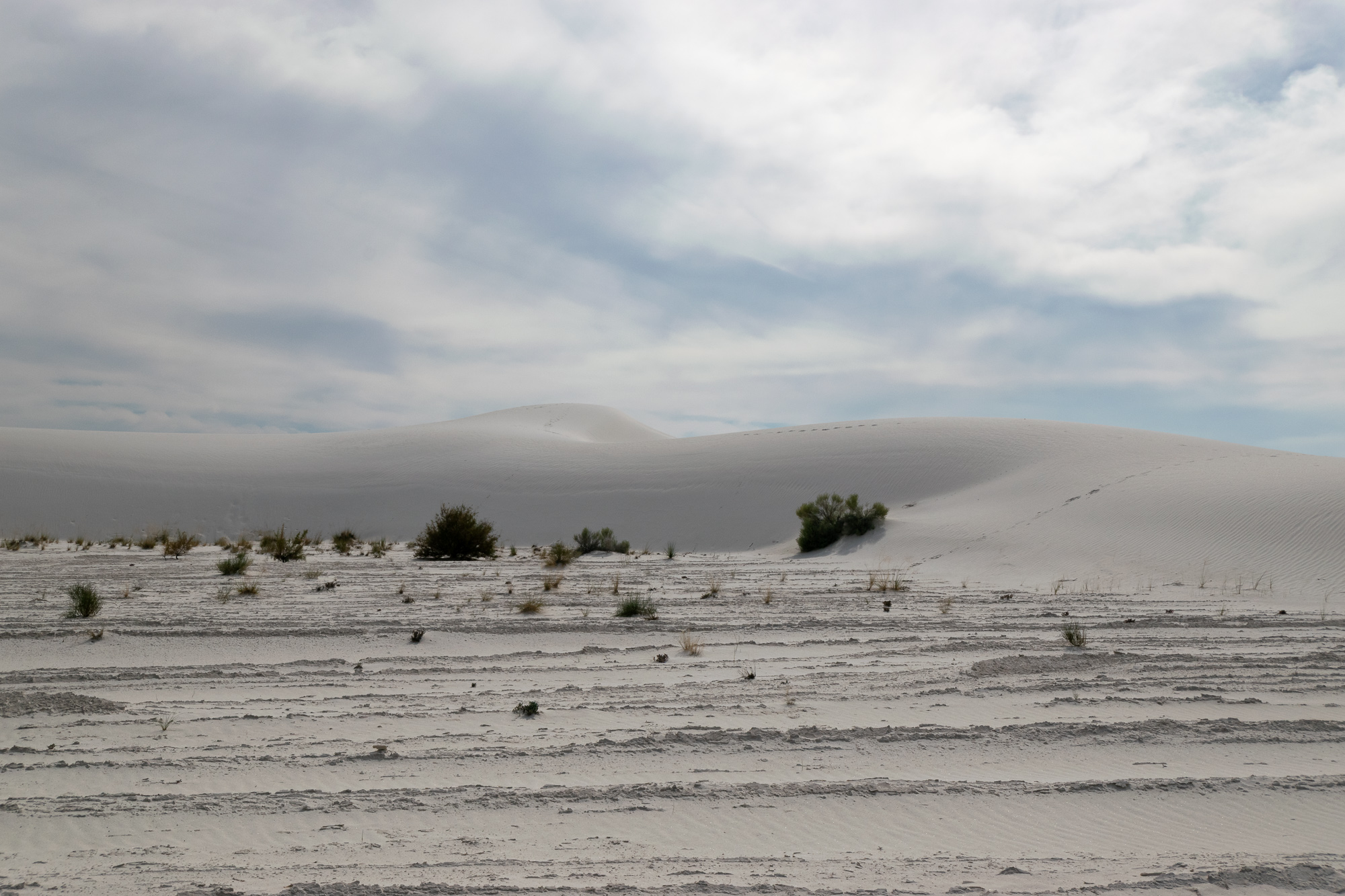 White Sands gypsum dunes under an overcast sky