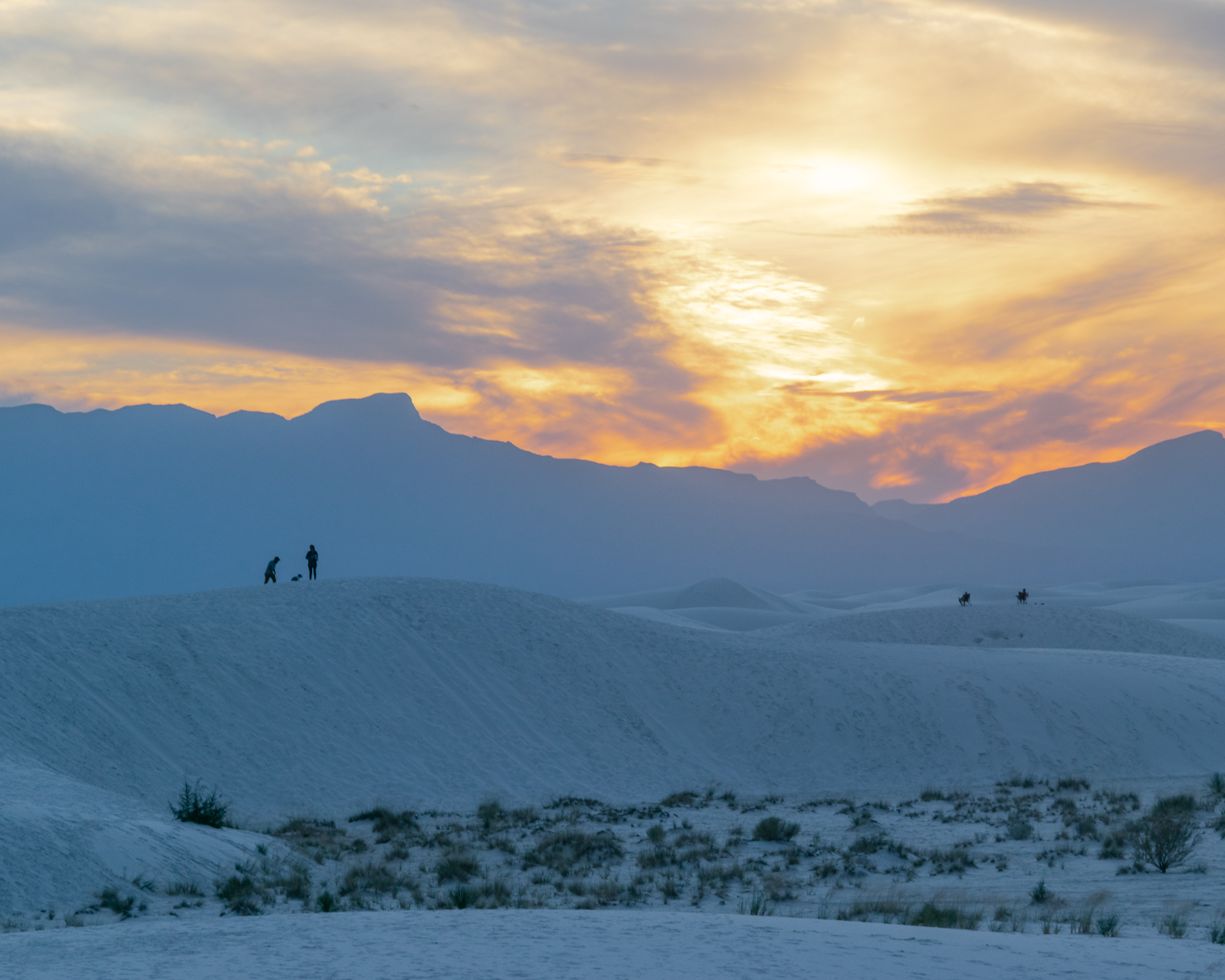 Sunset silhouettes on White Sands dunes