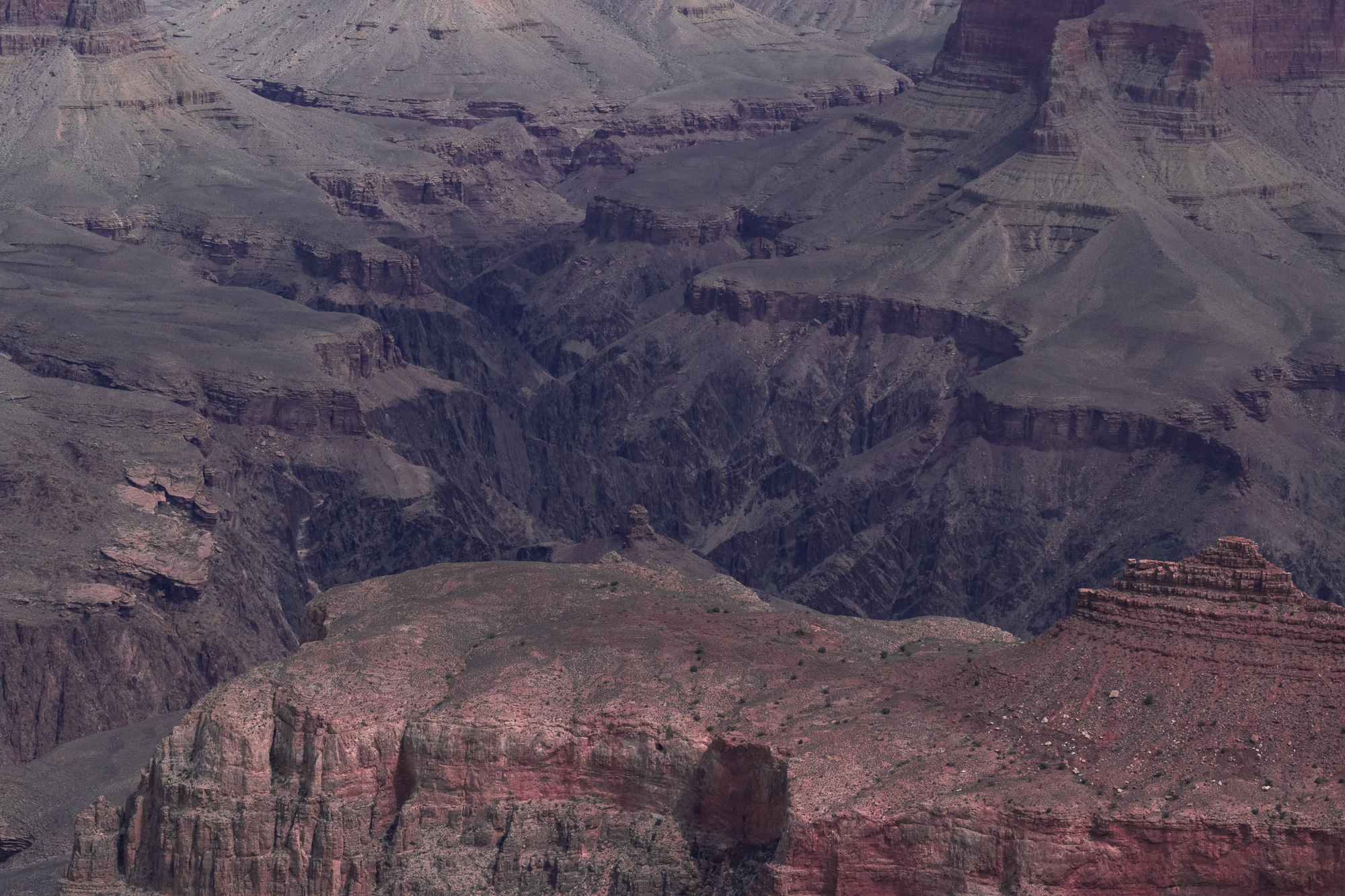 A tightly framed telephoto view into the Grand Canyon showing stacked ridges, cliff bands and talus slopes in muted gray, mauve and dusty red. A sunlit red rock plateau dotted with small shrubs fills the lower foreground while deep shadowed side canyons recede into haze above.