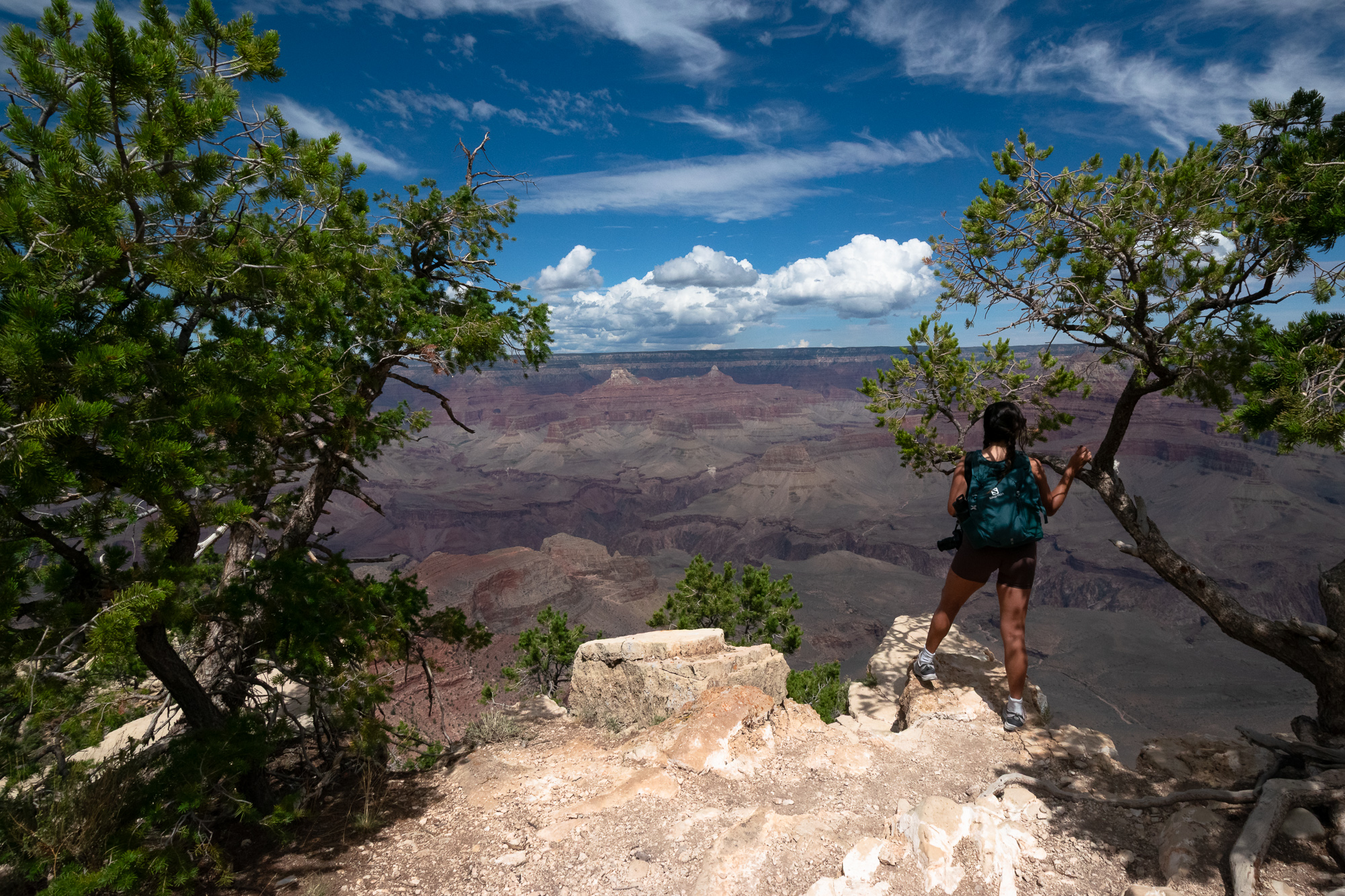 A woman in a dark tank top, shorts and a teal daypack stands on a pale limestone ledge at the edge of the Grand Canyon, gripping a pine branch and facing the layered red and gray buttes below. Gnarled pinyon pines frame both sides of the frame, and towers of white cumulus rise over the far rim beneath deep blue sky.