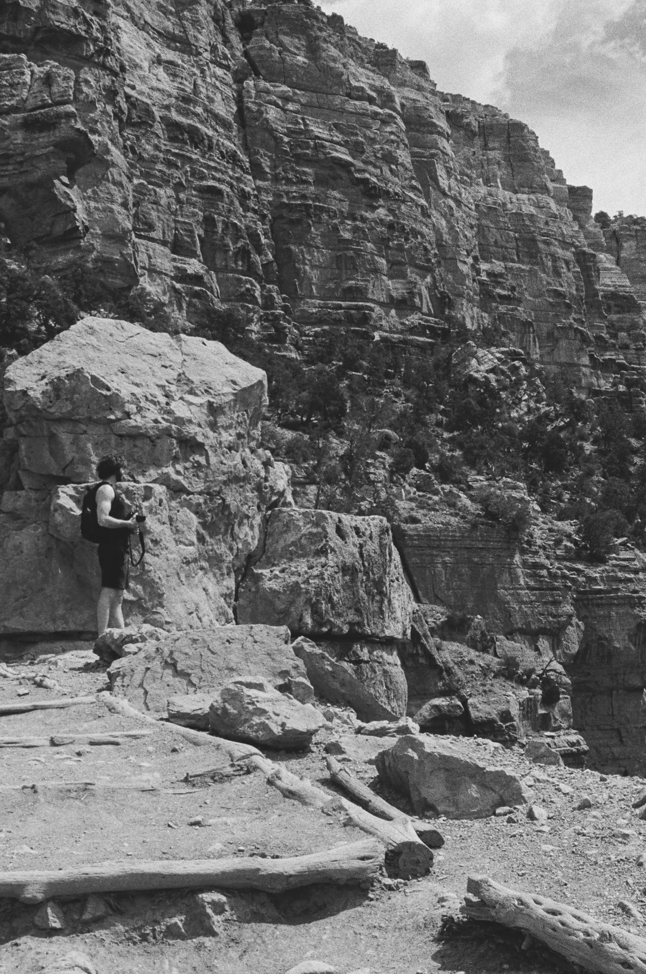 A hiker in a tank top, shorts and small backpack stands on a boulder at the base of a towering, horizontally layered canyon wall, holding a camera and looking toward the rock. Bleached sandy ground with fallen bare logs and scattered stones fills the foreground.