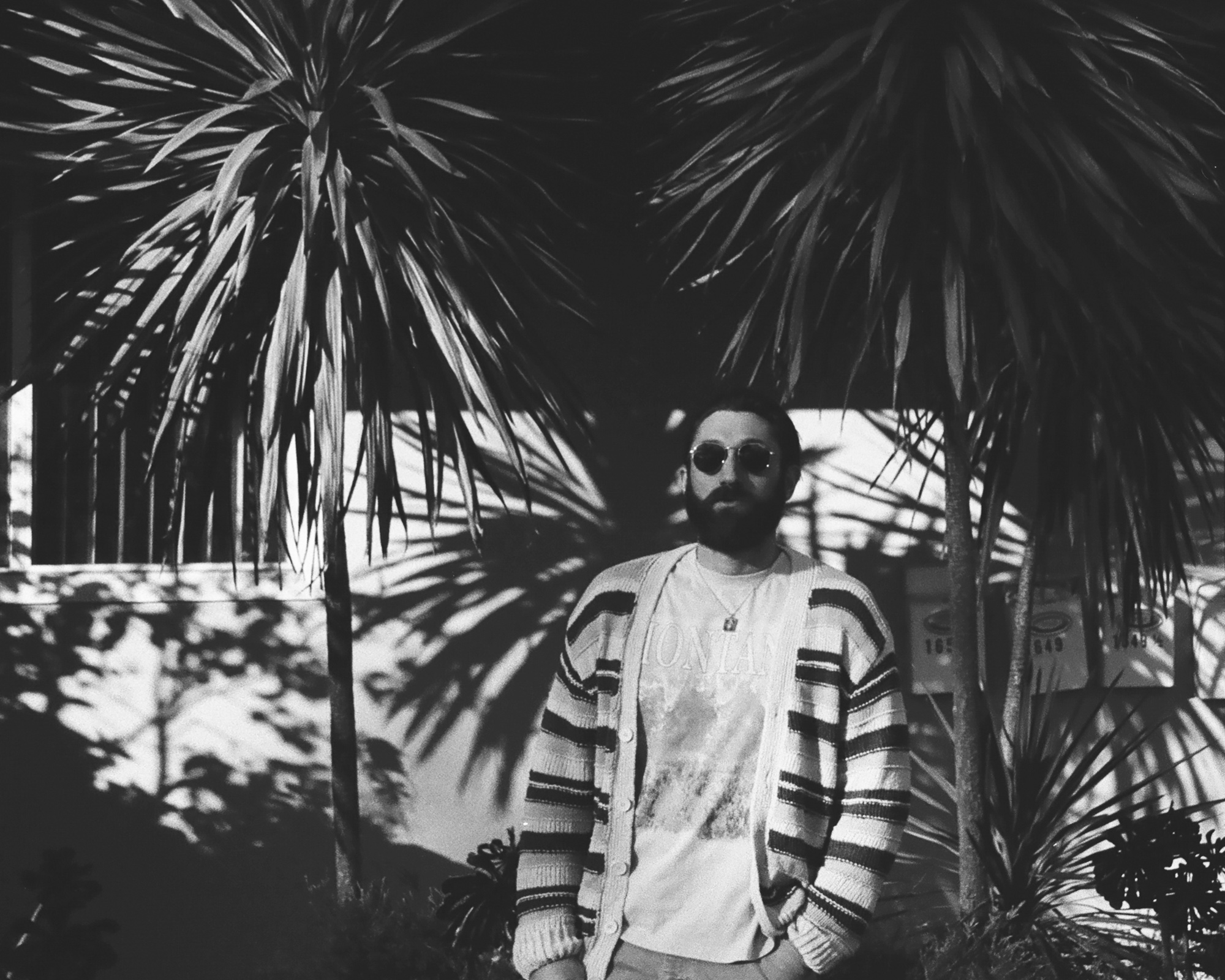 Black and white portrait of a bearded man in round sunglasses, a striped knit cardigan and a graphic tee reading MONTANA, standing with one hand in his pocket against a low white wall. Spiky palm fronds fill the upper half of the frame and cast hard shadows across the wall behind him.
