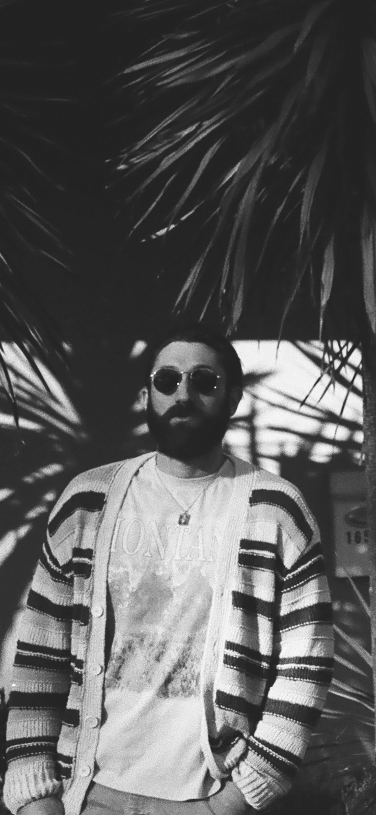 Black and white portrait of a bearded man in round sunglasses, a striped knit cardigan over a graphic t-shirt reading MONTANA, and a pendant necklace, standing with hands in his pockets. Palm fronds fill the frame above him and cast hard shadows across the background.