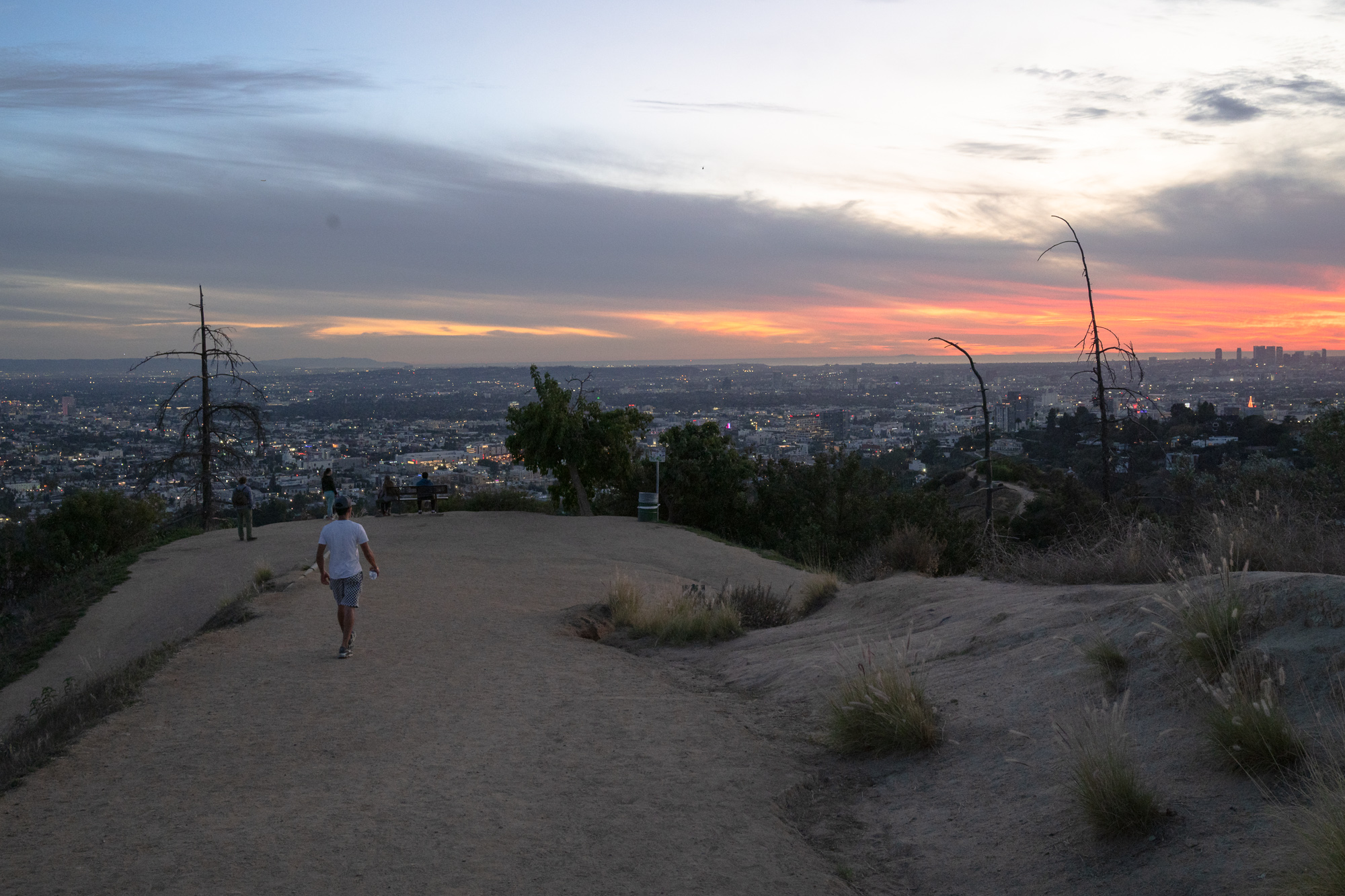A man in a white t-shirt and plaid shorts walks away down a wide dirt trail on a hilltop overlook, with other visitors seated on a bench ahead and the lights of Los Angeles spreading out below a band of orange and pink sunset sky. Bare, leaning dead trees stand on either side of the ridge, with dry grasses in the foreground.