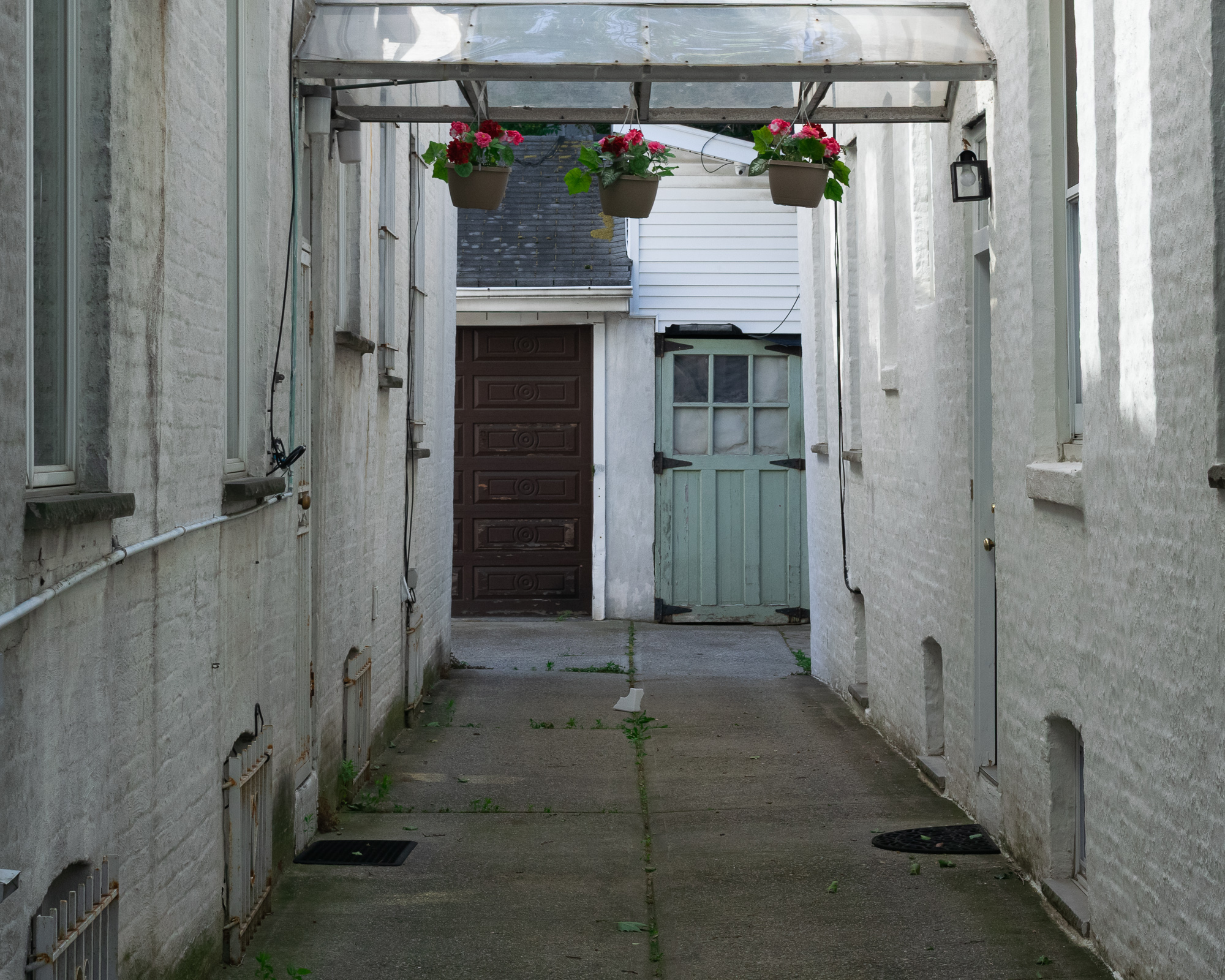 A narrow concrete alley between two whitewashed brick row houses, covered at the near end by a clear corrugated canopy with three hanging baskets of pink and red geraniums. At the far end stand a dark brown paneled garage door and a pale green wooden door with six glass panes.