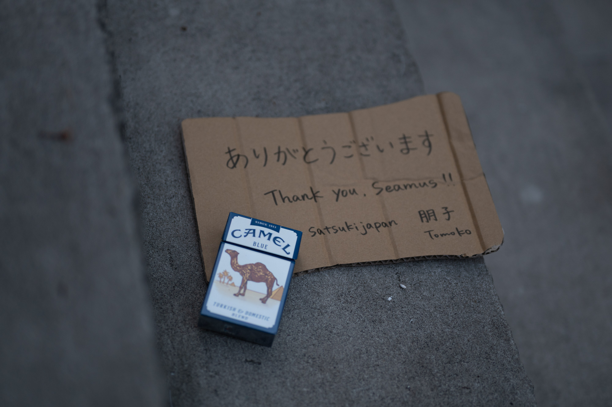 A torn piece of brown corrugated cardboard rests on a gray concrete curb, hand-lettered in marker with Japanese characters reading arigatou gozaimasu above the words Thank you, Seamus, plus Satsuki Japan and the name Tomoko. A blue and white Camel Blue cigarette pack leans against the lower left edge of the cardboard.