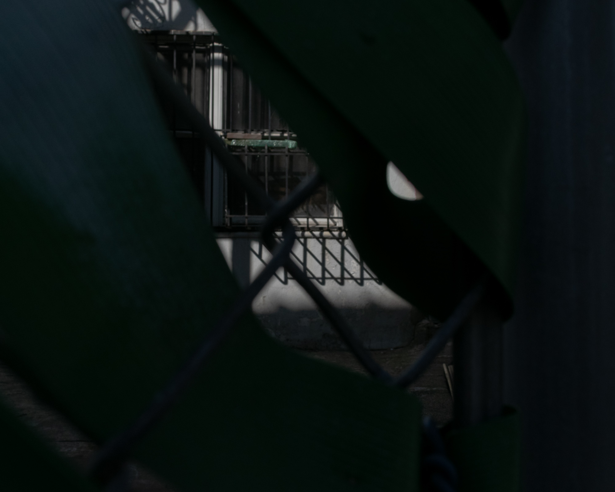 A view through the diamond-shaped opening of a dark chain link fence onto a sunlit building wall, where a fire escape casts a sharp lattice shadow across pale concrete. Most of the frame is taken up by out-of-focus fence wire in deep shadow, with a sliver of bright light catching one edge at right.