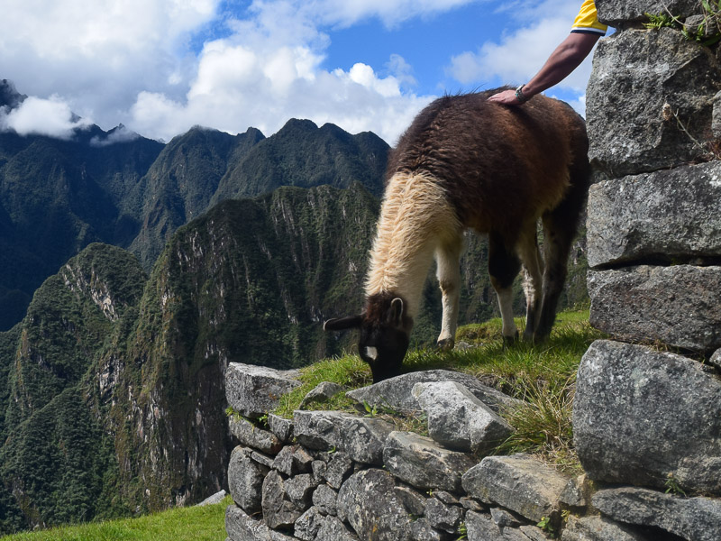 Street photograph, Peru