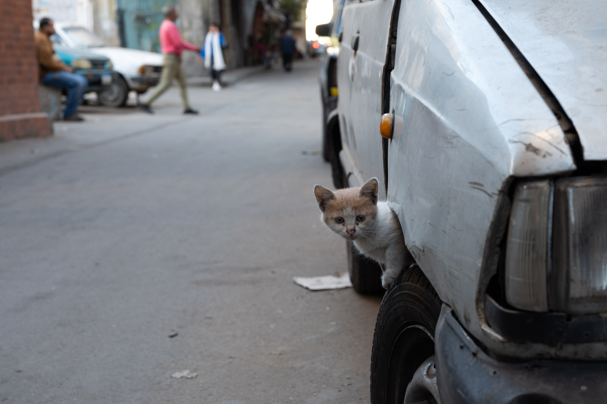 Egypt street scene